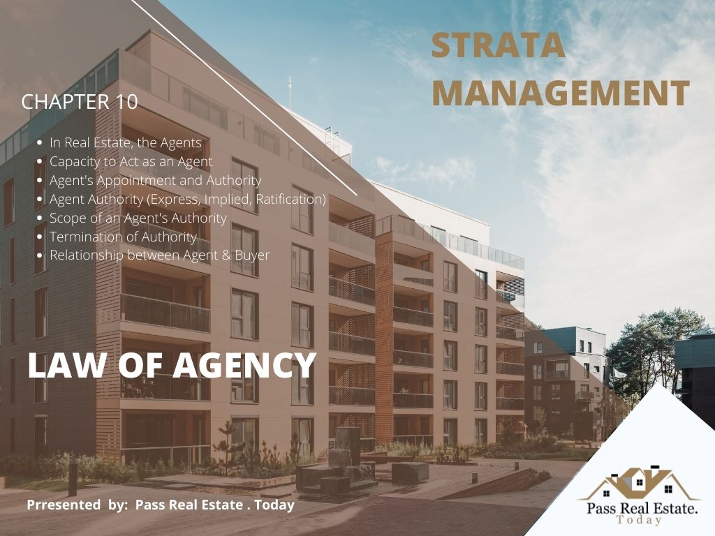 STRATA MANAGEMENT LAW OF AGENCY